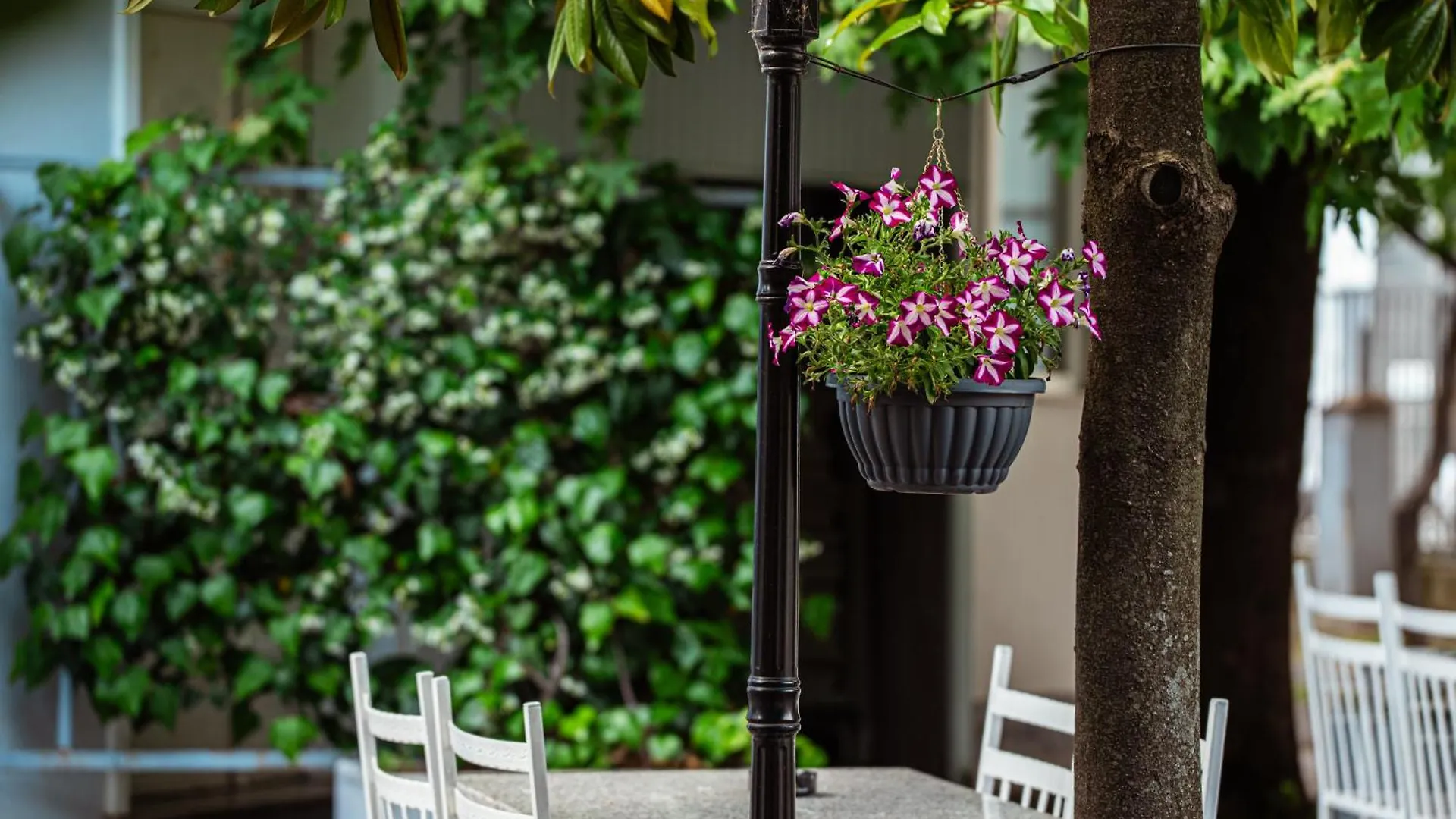 Hotel Blini Shkoder